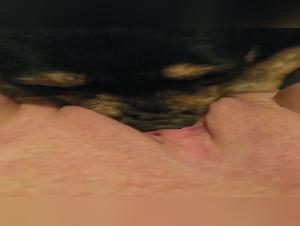 Sexy Dog Gets fucked in Front of a Couple