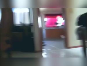 the unfaithful wife and dog