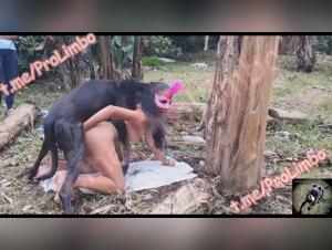 alison and her new dog