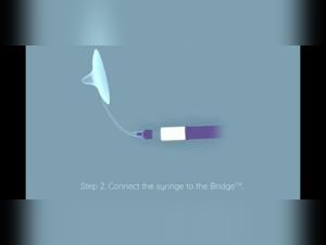 Bestialité : une femme et son chien