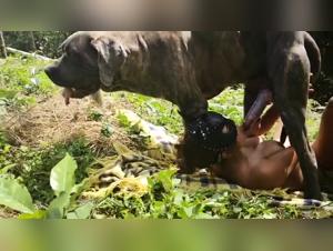 Bestiality outside: a shocking video