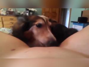 Submissive woman lets herself be dominated by her dog