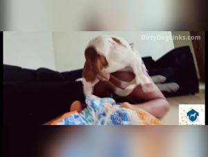 Analisis de la Beastiality en Animacion