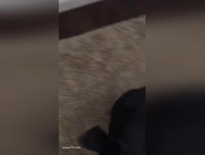 Unexpected Encounter: Milf and Dog