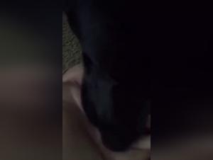 Bestiality video: a woman and her dog