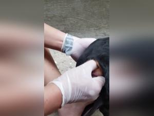 Intense and bestial encounter between a woman and a dog