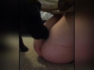Bestiality and extreme sex: a woman and her dog in a shocking video