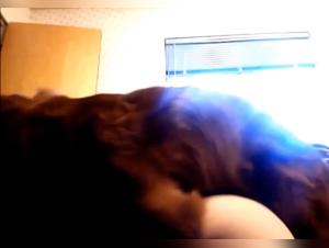 teen homemade doggy fuck