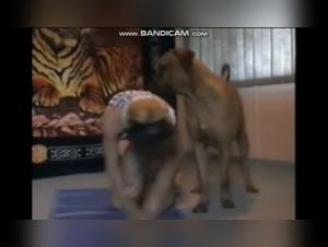 Zoophilia video with a dog