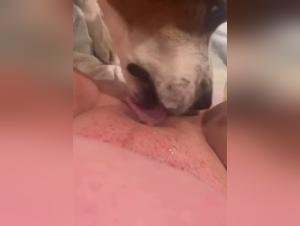 Mujer BBW y su perro: una historia de amor y pasion