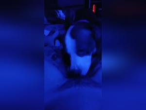 Unquenchable Cravings: Fact or Fantasy?