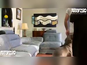 Canine disco dancing stick: a bestiality video not to be missed