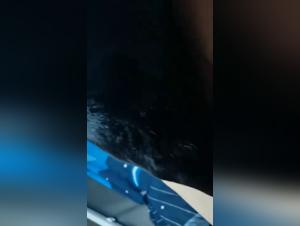 Bestiality: a woman and her dog