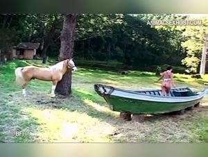 Horsesex Series - Part 3: Bestiality and extreme sex videos