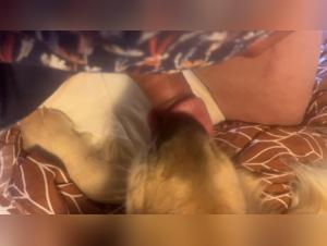 Amateur bestiality xnxxzoo : A dog sucks his owner's girlfriend after a creampie with him