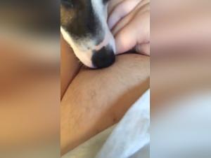 Adorable Teen and Her Four-Legged Best Friend: A Bestial and Intense Relationship