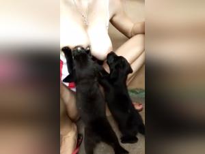 Woman Breastfeeding a Puppy - Dog Sex Video