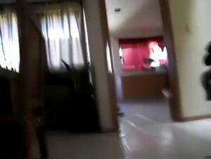 un encuentro entre mujer y perro