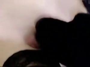 Bestiality sex video: a woman and a dog