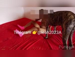 Sex with a dog: a beastly and intense experience