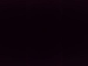 Bestiality: Woman and dog