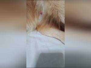 Exploration artistico-erotique de l'inattendu