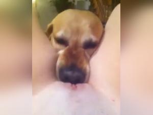 Pushing Boundaries: Extreme Zootography