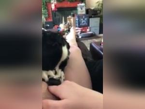 Bestial and intense encounter - Good Licking 2