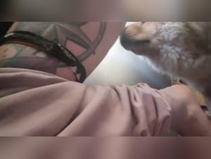 Bestiality sex video: a woman and a dog