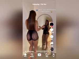 Taboo TikTok Content: Animals and Societal Boundaries