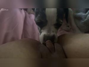 Bestiality: a woman and her dog in a shocking video