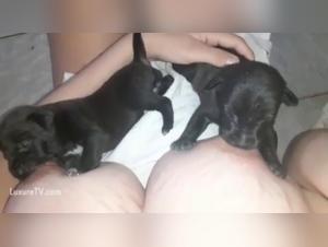 Bestiality: a woman and her dog