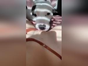 Bestiality sex video: a woman and a dog