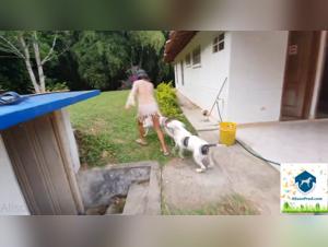 Alison fucks her dog, dirty whore