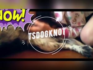 Bestial Video: An Intimate Encounter with a Dog