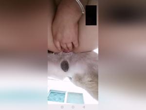 Zoophilia videos: intense and shocking moments