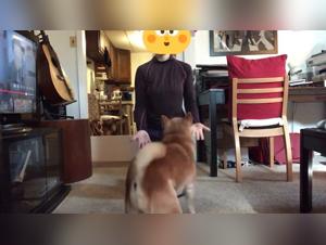 Video sexo bestial hardcore gratis