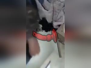 Fucking a big dog dick in the bathroom of Fap Zoo!