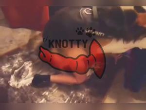 Cops fuck dogs: hard-core vids free porno