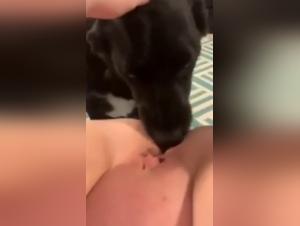 Woman and dog in shocking intimate relationship