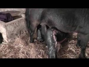 Forbidden meeting: a woman and a horse