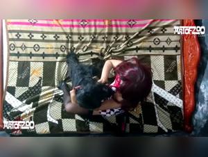 bestiality in the zoo