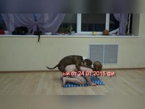 Nadia and her canine companion in a zoophilia video