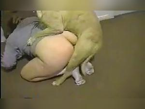 Milf Fucked by a Dog - Hot Bestiality Video