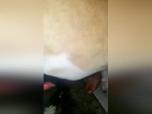 Bestiality Sex Video: Man and Dog