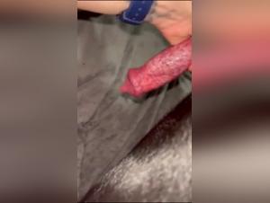 Top Porn Stories for Animal Sex Lovers