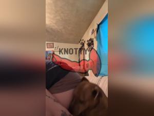 bestiality tubes coco triple x