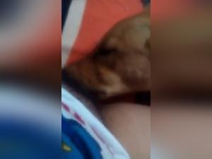 Rica and her canine companion in a shocking zoophilia video