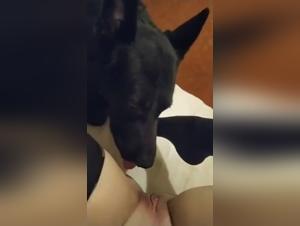 Bestiality: A woman and her dog