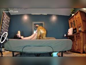 migliore cane porno beasiality